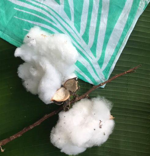 Why the cotton obsession?